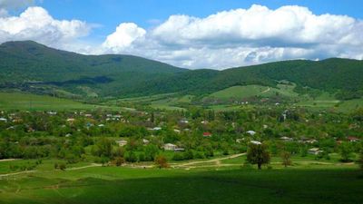 მწვანე თიანეთი_6